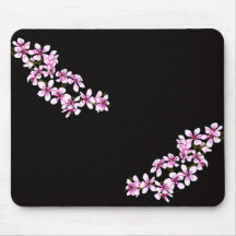 Cherry flowers