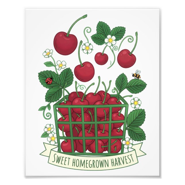 Cherry Fruit Food Prunus Sweet Basket  Fototryck (Framsidan)