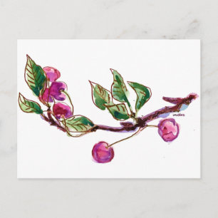 Cherry Gren Vykort