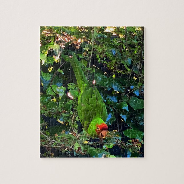Cherry Heaure Conure #1 Jigszawa Puzzle Pussel (Vertikal)