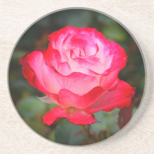 Cherry Parfait Ro #3 Sandstone Underlägg