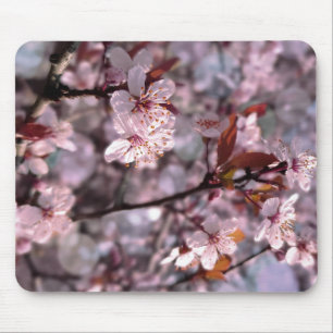 Cherry Plum Träd Rosa Musmatta