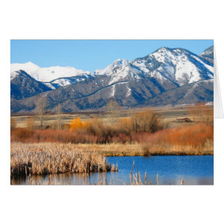 Cherry River av Cynthia Wenslow Hälsningskort