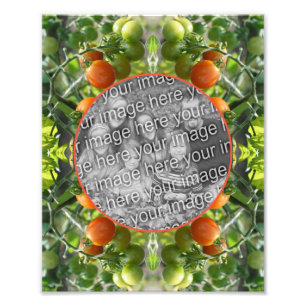 Cherry Tomates Ram Skapar din egen 8 x 10 Fototryck