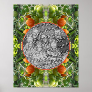 Cherry Tomates Ram Skapar ditt eget foto Poster