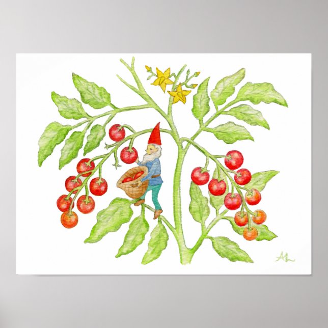 Cherry Tomato Gnome konsttryck Poster (Framsidan)