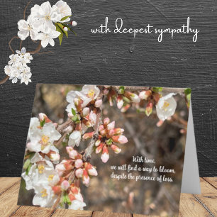 Cherry Träd Blommars Hitta vägar till blodsympati Kort