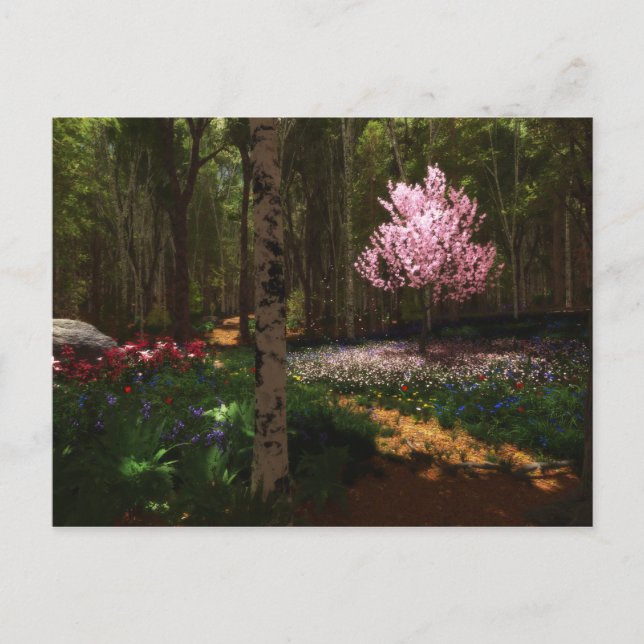 Cherry Träd Concerto Postcard Vykort (Framsida)