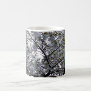 Cherry Träd Flower Blommigt Botaniska trädgårdsmäs Kaffemugg