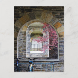 Cherry Träd genom Arches Vykort