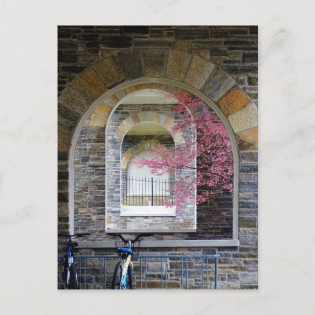 Cherry Träd genom Arches Vykort (Framsida)