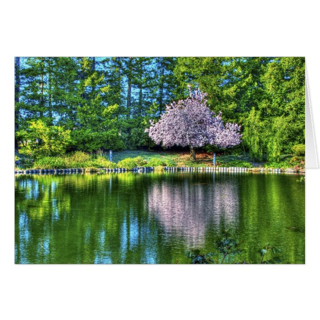 Cherry Träd Hälsningskort (Framsidan Horizontal)