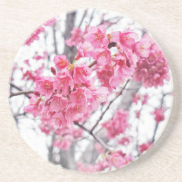 Cherry träd i blomning underlägg