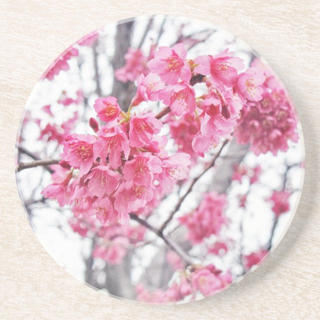 Cherry träd i blomning underlägg (Framsidan)