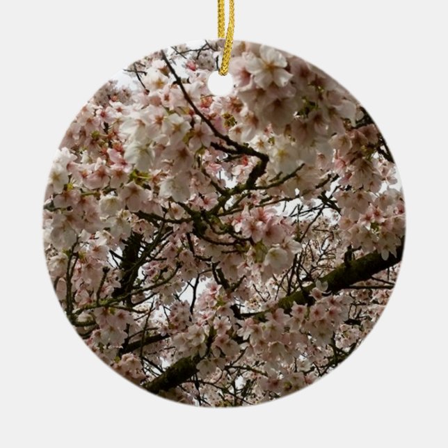 Cherry Träd i Bloom, Oregon Julgransprydnad Keramik (Framsidan)
