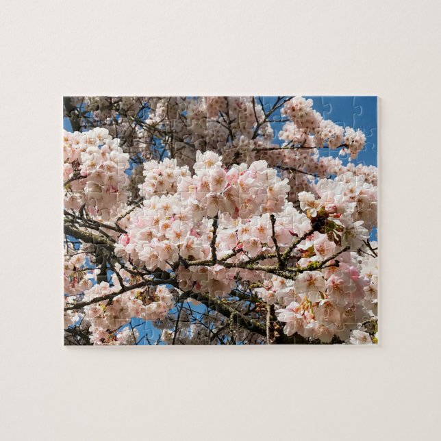 Cherry Träd i Bloom, Oregon Pussel (Horisontell)