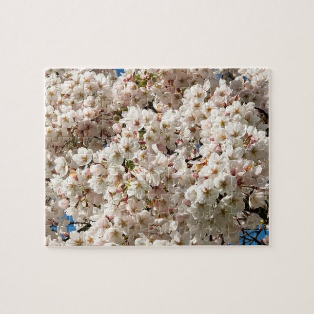 Cherry Träd i Bloom, Oregon Pussel (Horisontell)