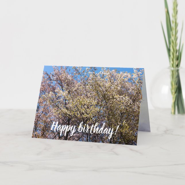 Cherry Träd i Fullt Bloom en vardag i Vår Kort (Framsida)