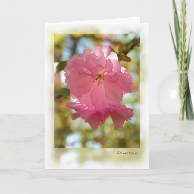 Cherry Träd (Kwanzan) Kort (Framsida)