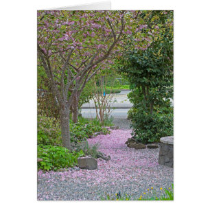 Cherry Träd Petal Väg Hälsningskort