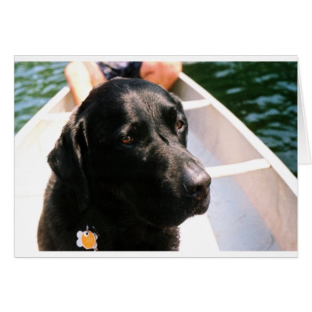 Chert Hund Hälsningskort (Framsidan Horizontal)