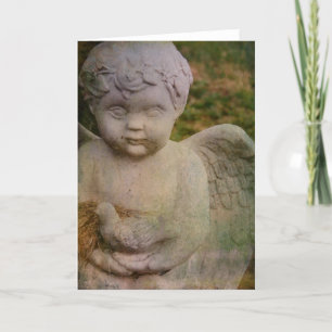 Cherub Kort