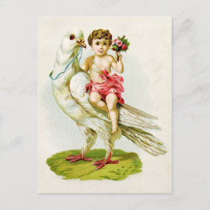 Cherub med Ro Riding a Dove Vykort