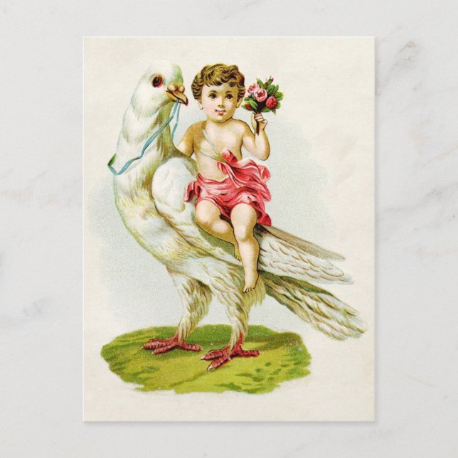 Cherub med Ro Riding a Dove Vykort (Framsida)