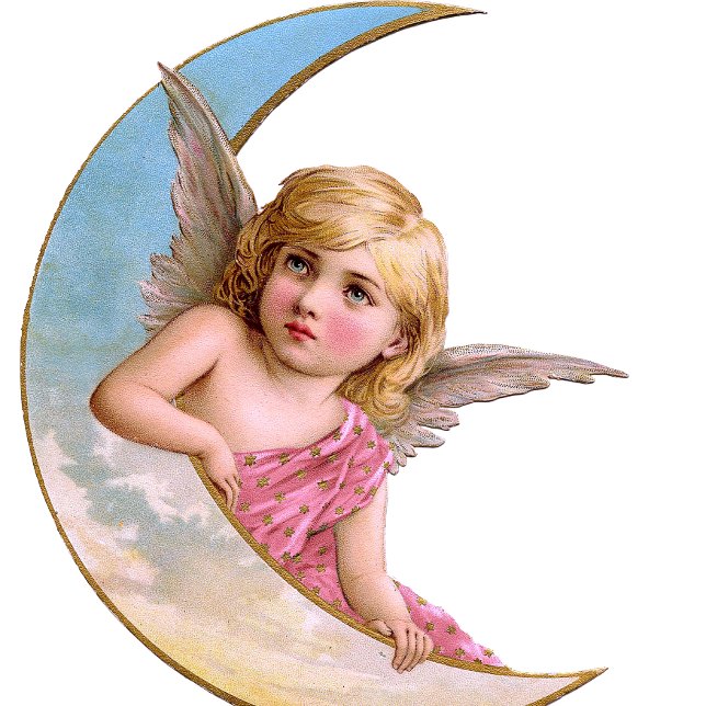 Cherub Rosa Ceramic pull Knopp (Skapare uppladdad)