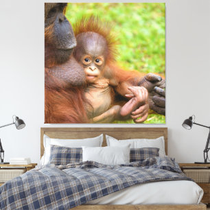 Cheryed Orangutan Mor får Cuddle Canvastryck