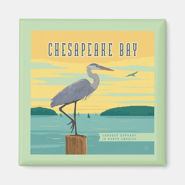 Chesapeakbukten vid Nordamerikas största flodmynni Magnet (Framsidan)