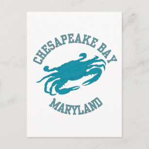 Chesapeake Bay  Blå Krabba Vykort