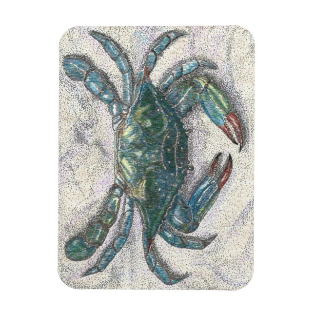 Chesapeake Bay Blue Crab Fridge Magnet (Vertikal)
