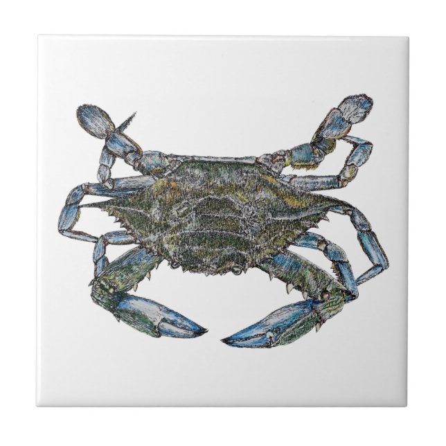 Chesapeake Bay Blue Crab Kakelplatta (Framsidan)