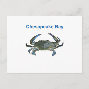 Chesapeake Bay Blue Crab Vykort
