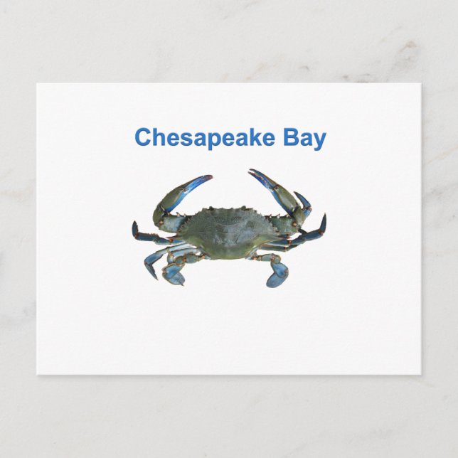 Chesapeake Bay Blue Crab Vykort (Framsida)