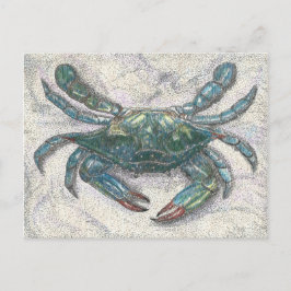 Chesapeake Bay Blue Crab Vykort