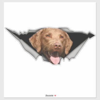 Chesapeake Bay-hämtning decal, Hund Sticker Klistermärken