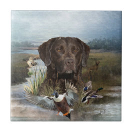 Chesapeake Bay Retriever, Art Kakelplatta