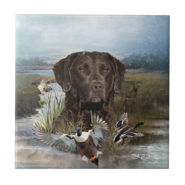 Chesapeake Bay Retriever, Art Kakelplatta (Framsidan)