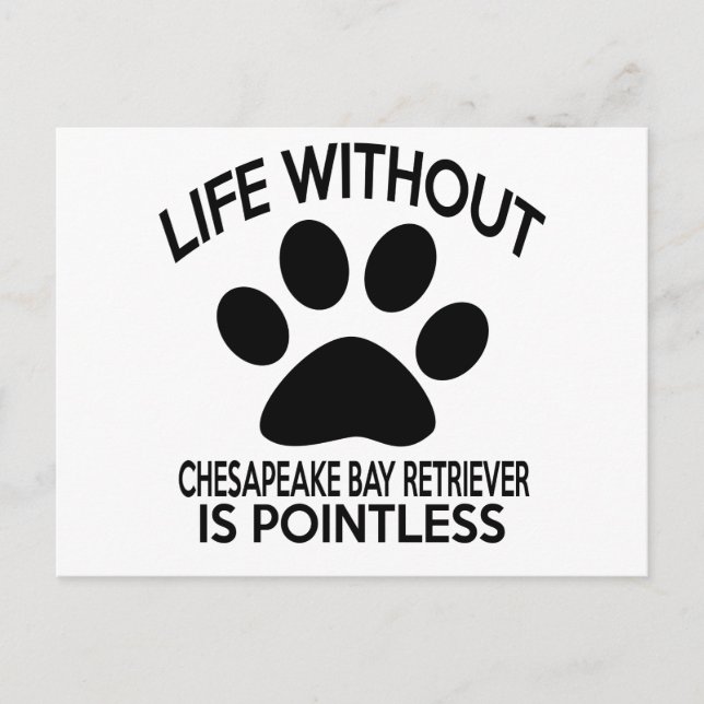 CHESAPEAKE BAY RETRIEVER DESIGNS VYKORT (Framsida)