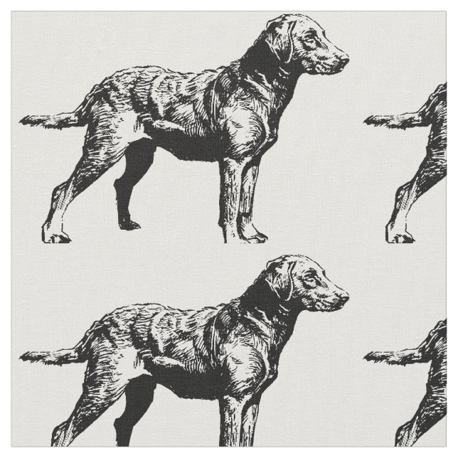 Chesapeake_Bay_Retriever_drawing.png Tyg (Närbild)