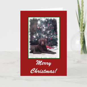 Chesapeake Bay Retriever, God jul! Helgkort