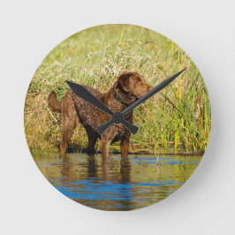 Chesapeake Bay Retriever Hunting Dog Wall Clock Rund Klocka