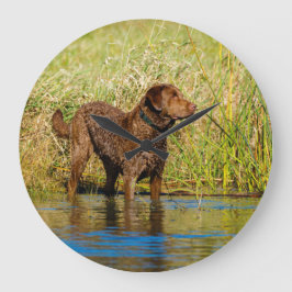 Chesapeake Bay Retriever Hunting Dog Wall Clock Rund Klocka