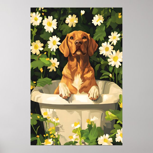 Chesapeake Bay Retriever In Bathtub Poster, Funny Poster (Framsidan)