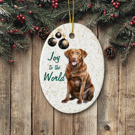 Chesapeake Bay Retriever Joy till World Helgdag Julgransprydnad Keramik