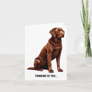 Chesapeake Bay Retriever... Kort