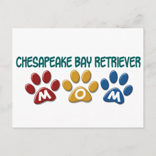 CHESAPEAKE BAY RETRIEVER Mamma PW Skriv ut 1 Vykort