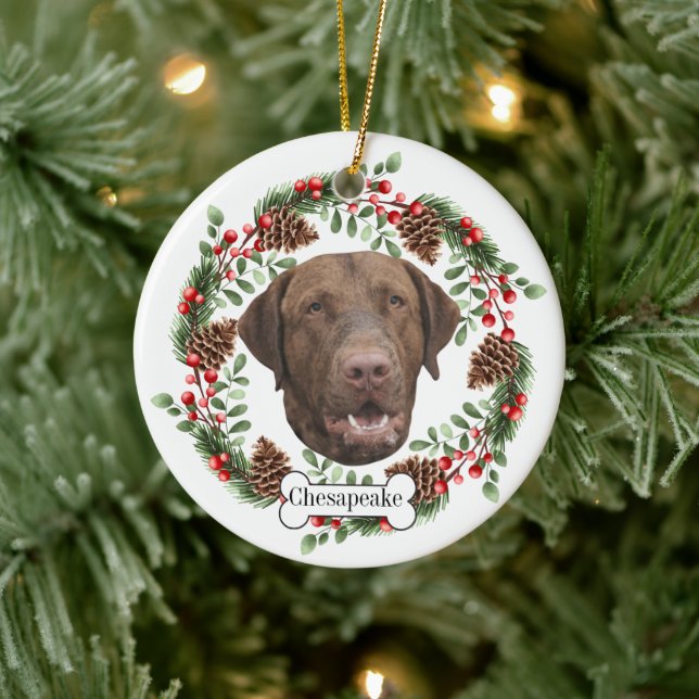 Chesapeake Bay Retriever Personlig Pet Ornament (Träd)